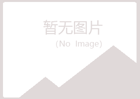 辽源龙山女孩化学有限公司